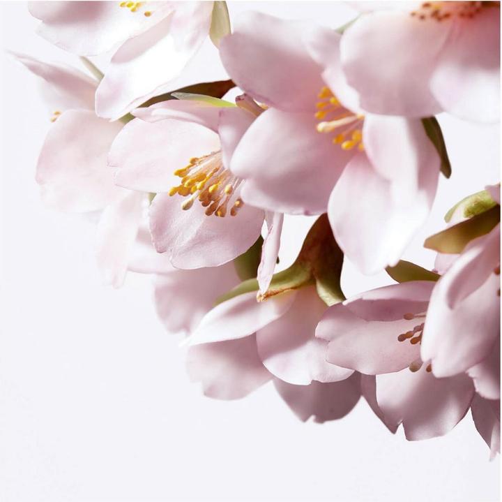 Produktbild Shiseido White Lucent - Illuminating Micro-Spot Serum (30 ml)
