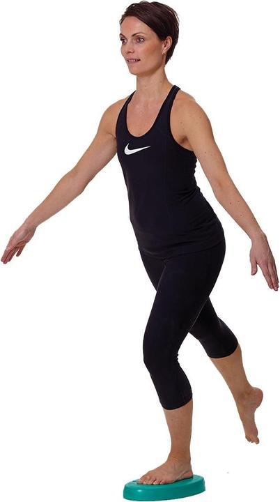 Actual product image TheraBand Stability trainer