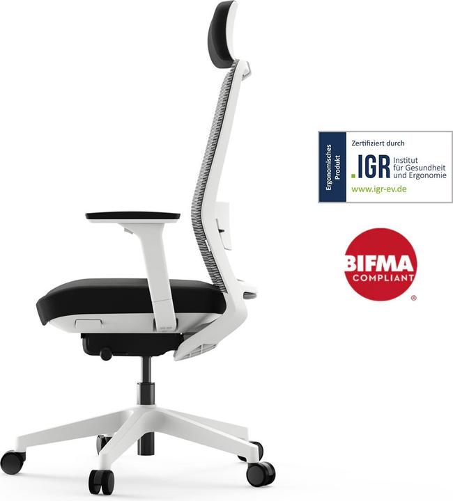 Produktbild Yaasa Chair Pro