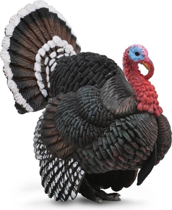 Actual product image Collecta Turkey