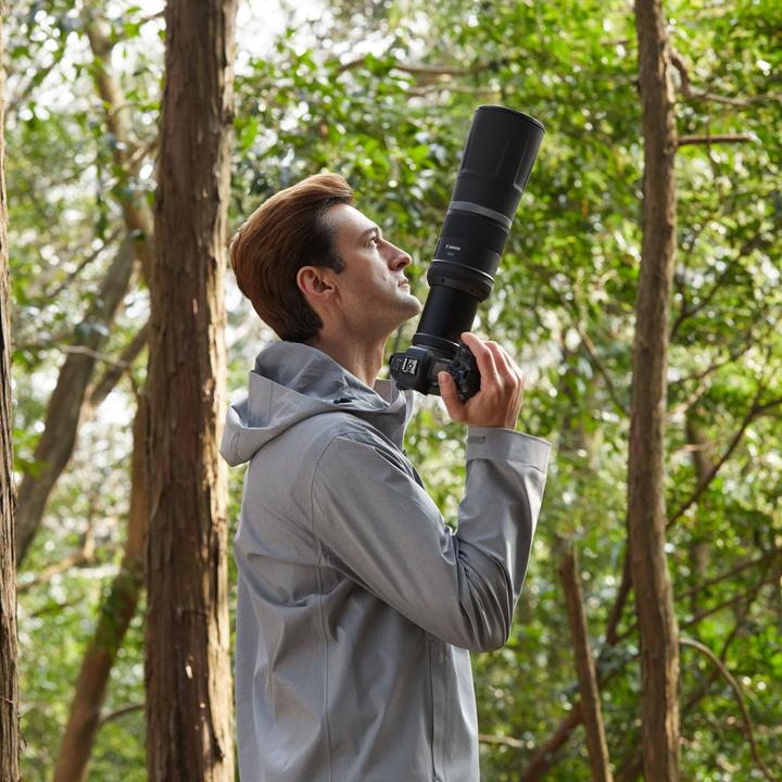 Actual product image Canon RF 800mm f/11 IS STM (Canon RF, full size)