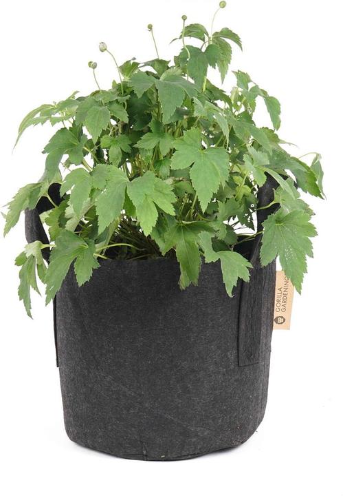 Immagine prodotto Gorilla Gardening Sacchetto per la semina (25.50 cm)