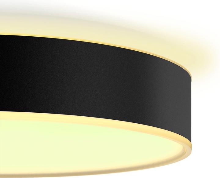Actual product image Philips Hue White Ambiance Enrave (2400 lm)