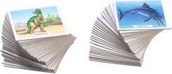Image du produit Ravensburger Dinosaures (Allemand)