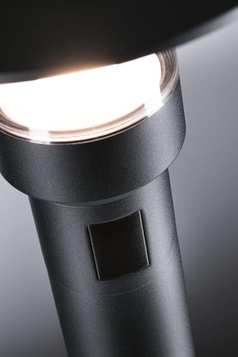 Actual product image Paulmann Sienna (950 lm, IP44)
