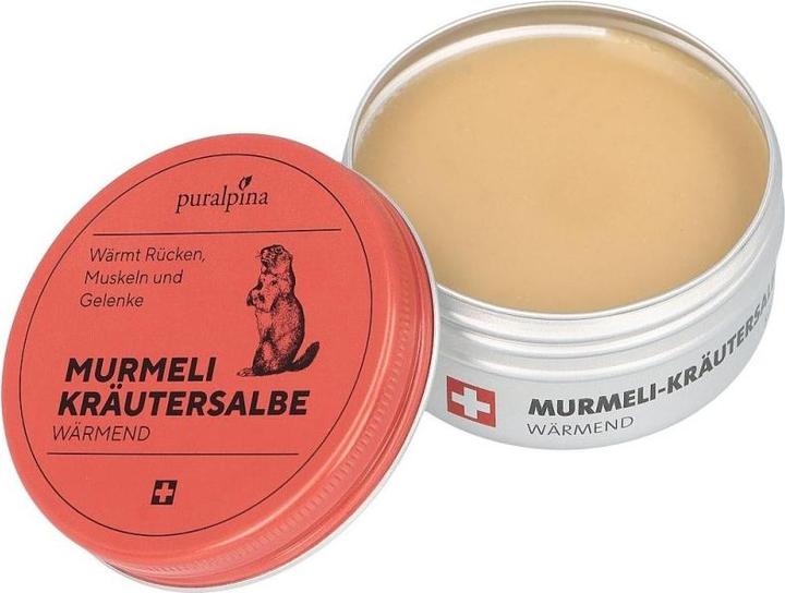 Produktbild Puralpina Murmeli-Kräutersalbe (1 x, 100 ml, 120 g)