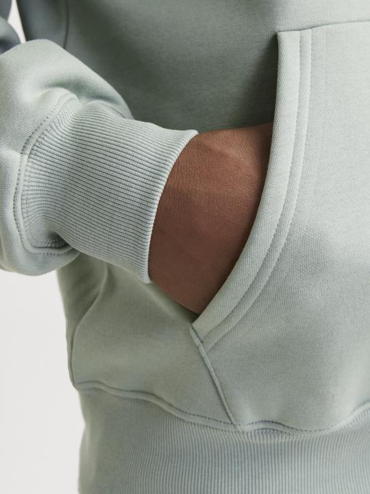 Actual product image Jack & Jones Jjeurban Edge Sweat Hood Noos (M)