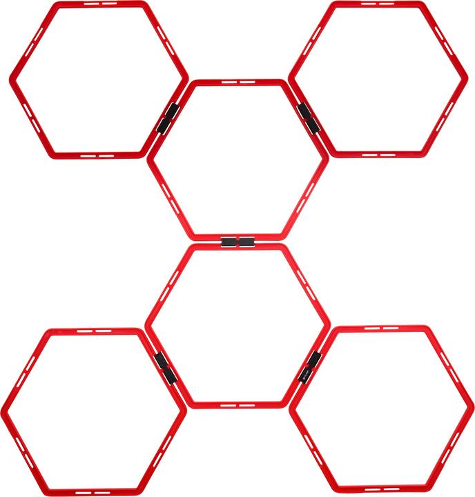 Actual product image Pure Hexagon training grid