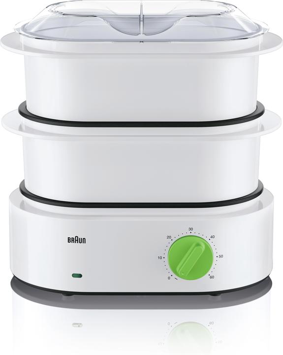 Braun FS 3000 (CH-Stecker)