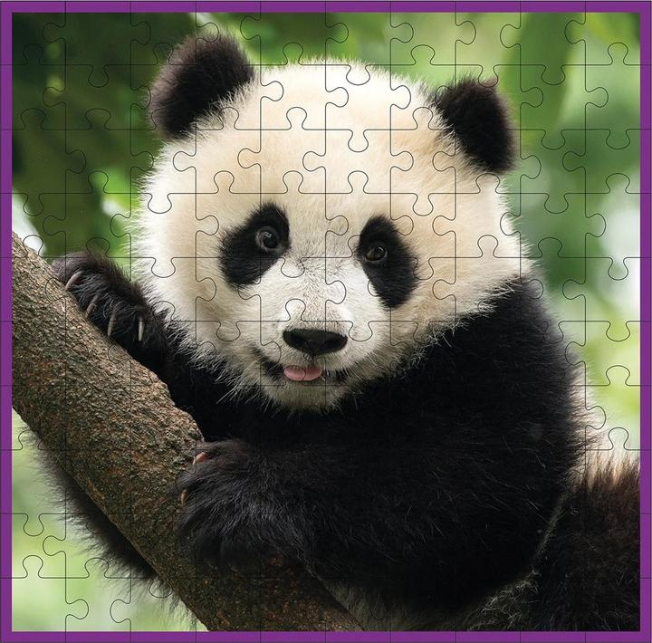 Actual product image Jensen Panda 100 parts (100 pieces)