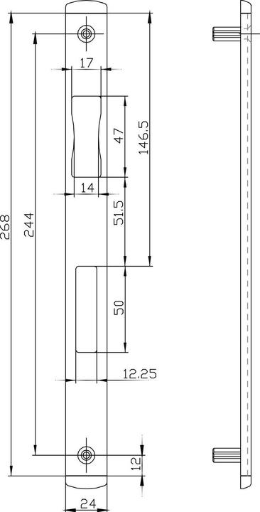 Produktbild BKS Schliessblech flach/eckig, Fallendurchbruch 12 mm, 216,5x24 mm Edelstahl (Türgriff)