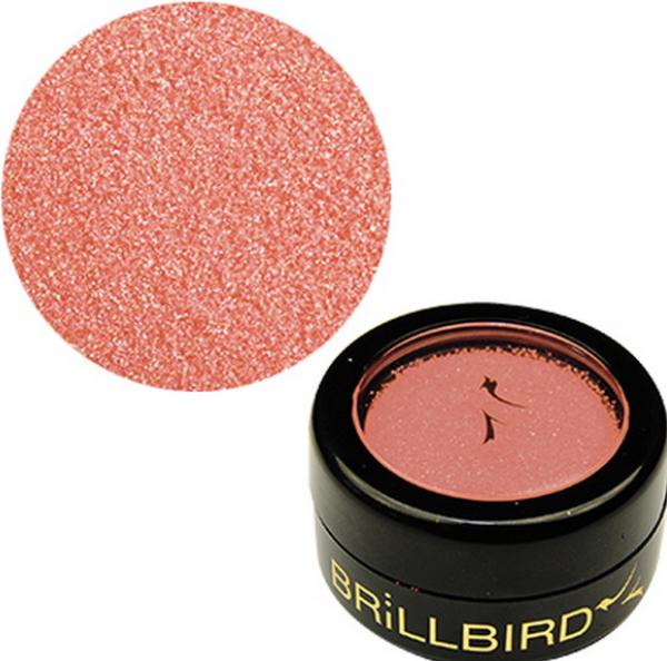 BrillBird Micro Glitter 3