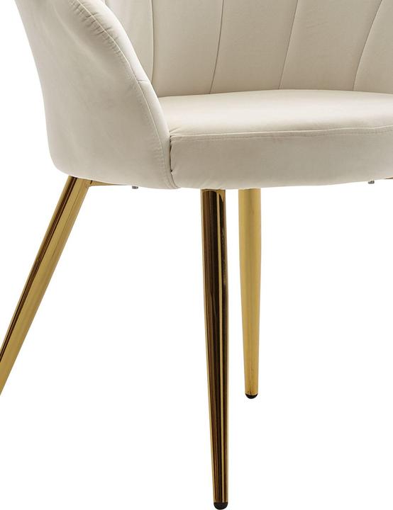 Actual product image FineBuy Tulpe