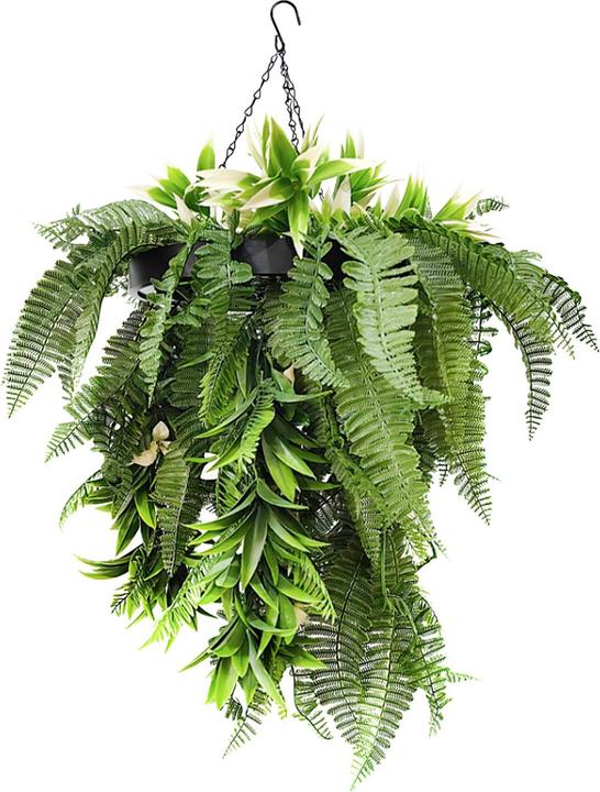 Floordirekt Kunstpflanze Rainforest (70 cm)