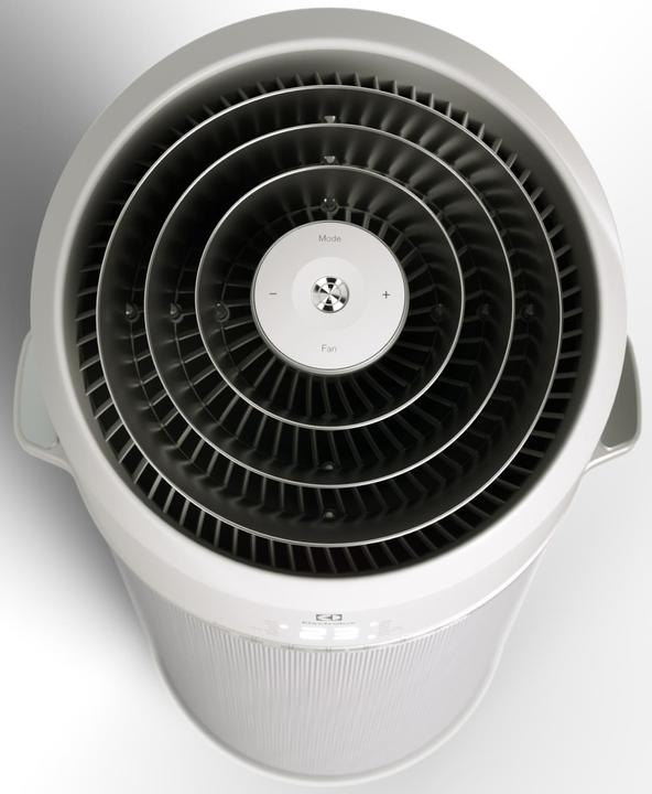 Immagine prodotto Electrolux fiore d'aria (40 m², 9000 BTU/h)