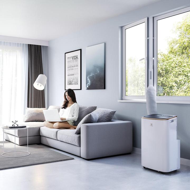Actual product image Electrolux Chill Flex Pro Gold (40 m², 9000 BTU/h)