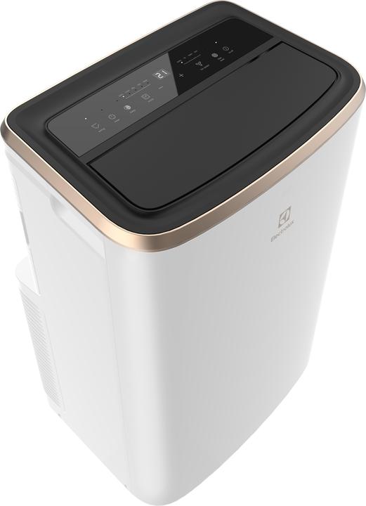 Actual product image Electrolux Chill Flex Pro Gold (40 m², 9000 BTU/h)