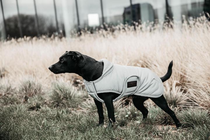 Produktbild Kentucky Dogwear Hundemantel reflektierend & wasserabweisend bauchdeckend 150g (Hundemantel)