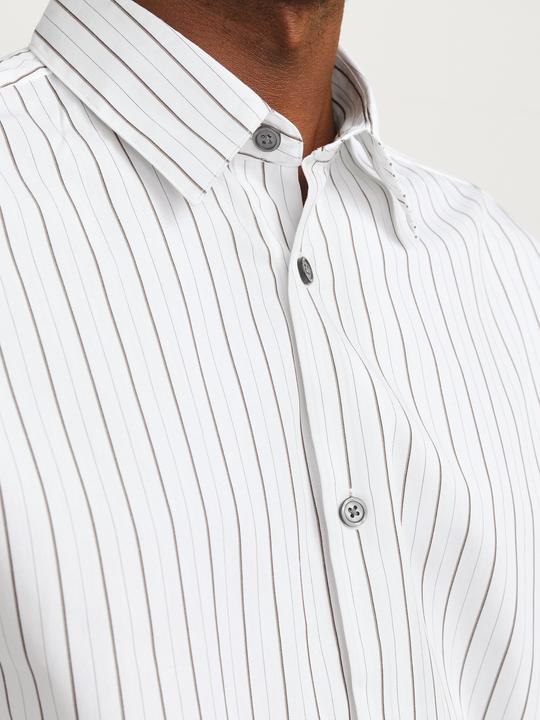 Actual product image Jack & Jones Jprblabushwick Stanley Shirt L/S Sn (XS)