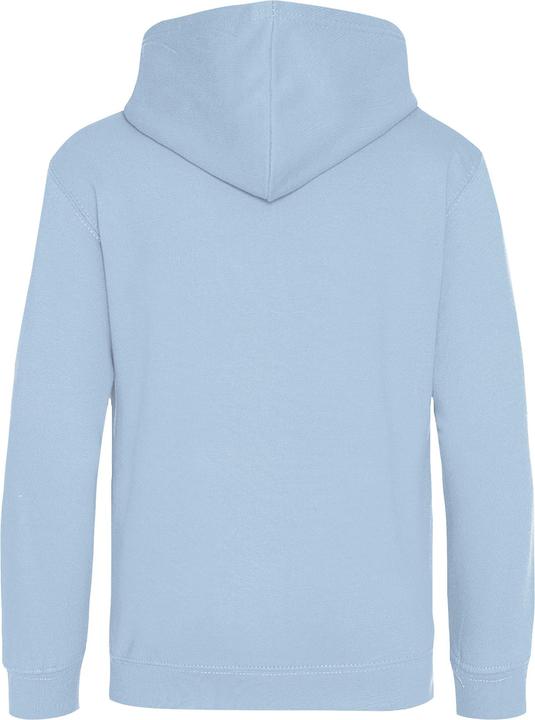 Actual product image Awdis Kids Unisex Hooded Sweatshirt / Hoodie / Schoolwear (146)