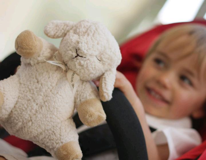 Image du produit Cloud B Sleep Sheep on the go (CB7302-ZZ)