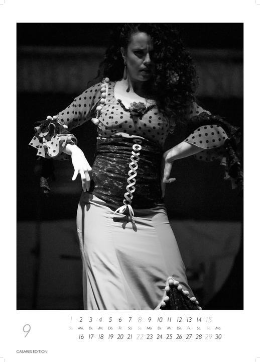 Produktbild Flamenco schwarz-weiss 2026 (Deutsch)
