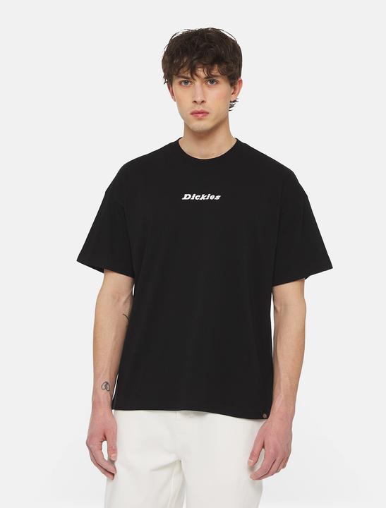 Actual product image Dickies Enterprise Tee Ss (XL)