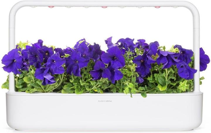 Produktbild Click and Grow Saatgut Blaue Petunie 3er-Pack (Pflanzensamen)