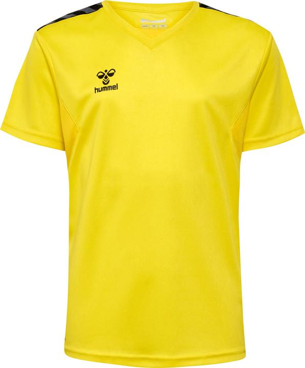 Produktbild hummel Hmlauthentic Pl Jersey S/S Kids (164)