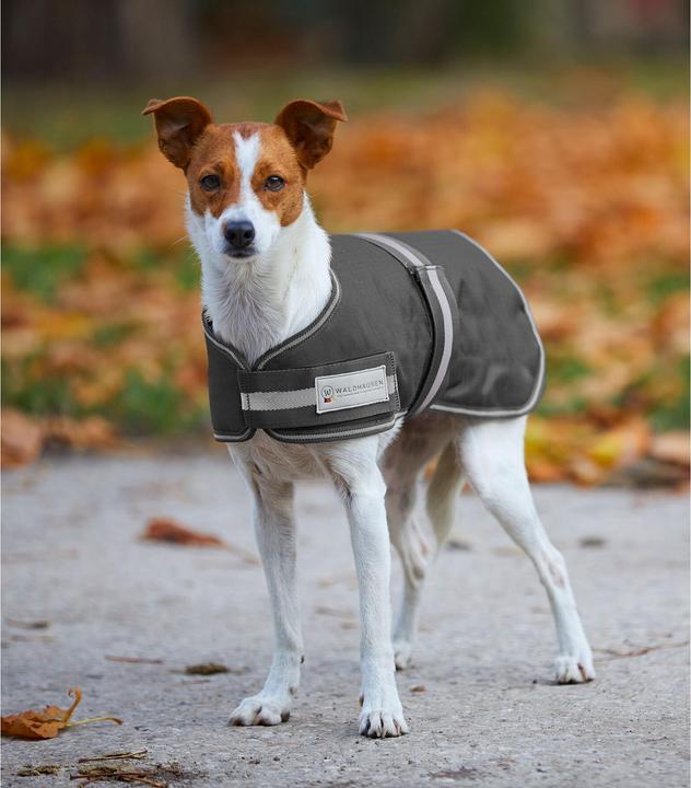 Produktbild Waldhausen Comfort (55, Hundemantel)