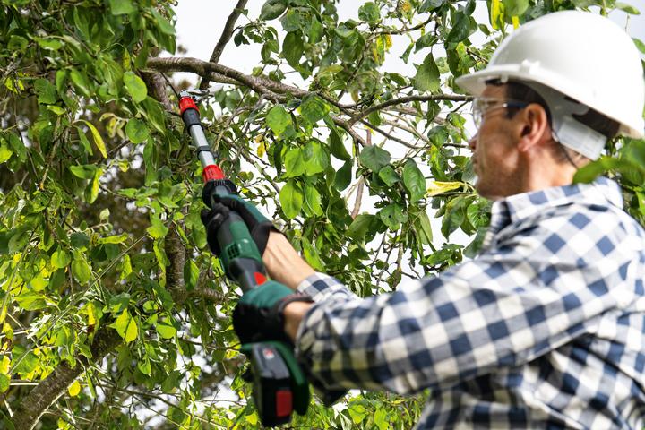 Actual product image Bosch Home & Garden AdvancedPrune 18V-45 cordless garden shears (1x2.0Ah) (long)