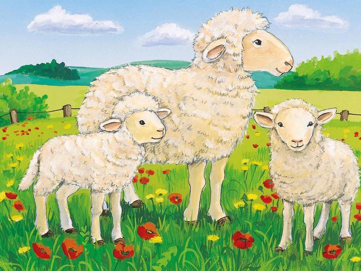 Produktbild Ravensburger Tiere auf dem Bauernhof Würfelpuzzle (12 Teile)