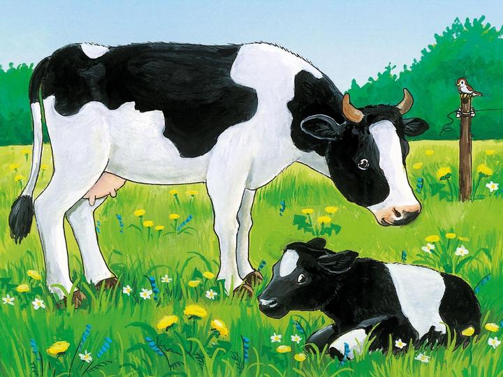 Produktbild Ravensburger Tiere auf dem Bauernhof Würfelpuzzle (12 Teile)