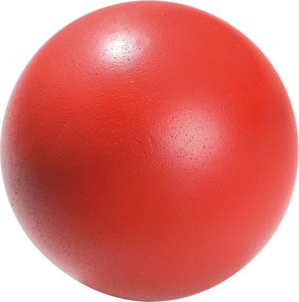 Image du produit Tanga Sports poids à lancer (5000 g)