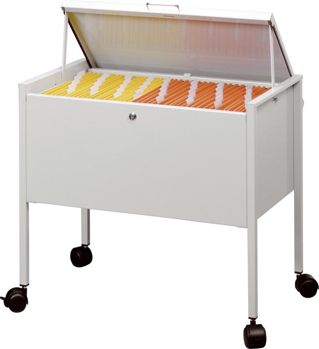 Produktbild Durable ECONOMY HÄNGEMAPPENWAGEN 80 A4 TOP 1 ST 309810