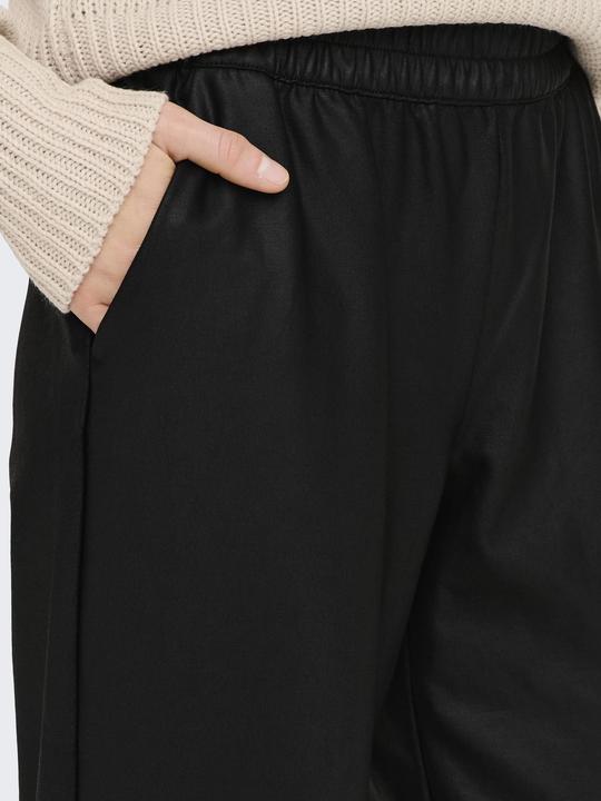 Actual product image Only Coated trousers (3XL)