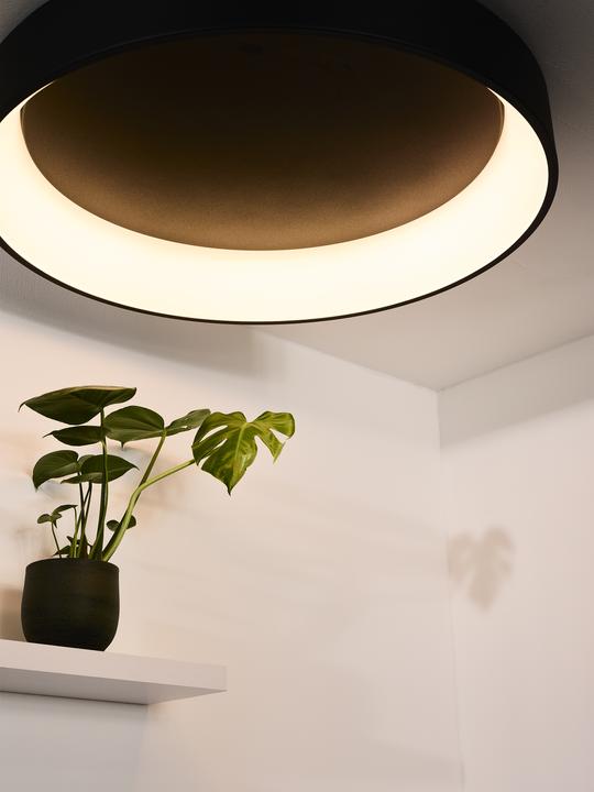 Immagine prodotto Lucide Talowe (4800 lm)