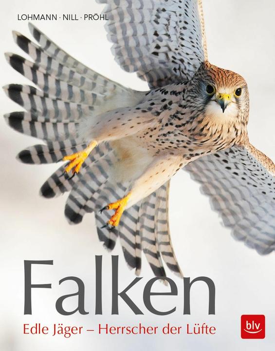 Produktbild Falken (Deutsch, Michael Lohmann, 2018)