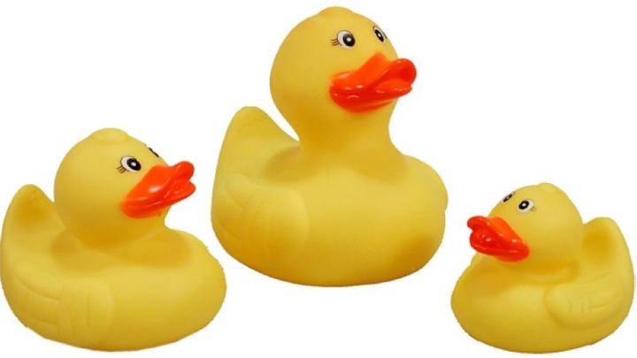 The Toy Company Duck family
