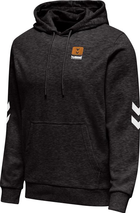 Actual product image hummel Lgc Liam Hoodie (S)