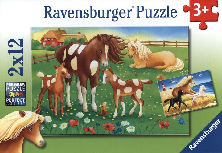Ravensburger Flowing manes 2x (12 pieces)
