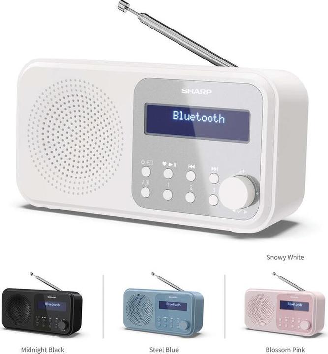 Immagine prodotto Sharp DR-P420 (DAB, FM, Bluetooth)