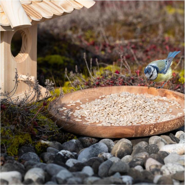 Produktbild Lyra Pet Sonnenblumenkerne geschält (1 x, 5 kg)