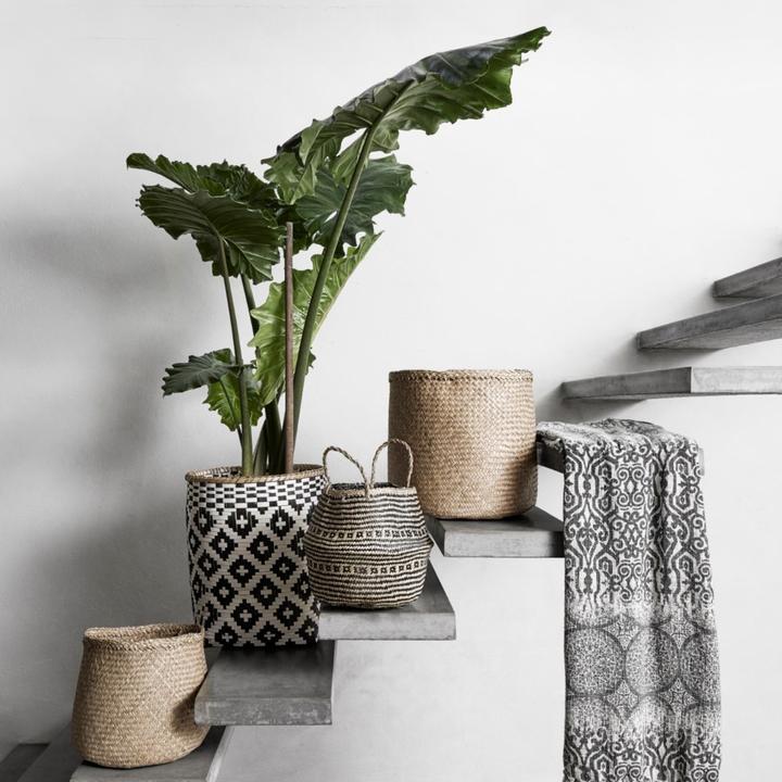 Image du produit Nordal Courbe (3 x)