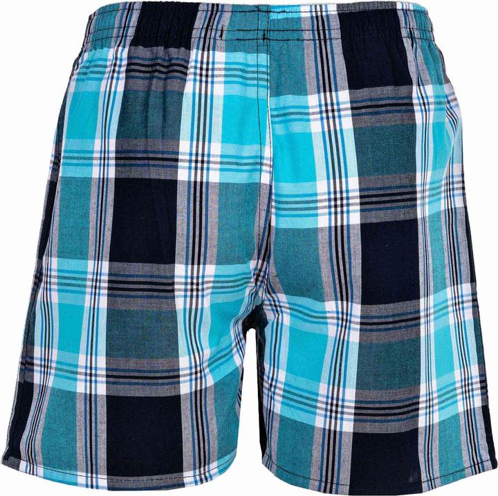 Image du produit Your Basics Boxers tissés Casual Coupe ample (188, paquet de 7)