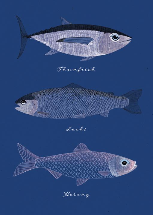 Immagine prodotto amante del mare "Pesci"