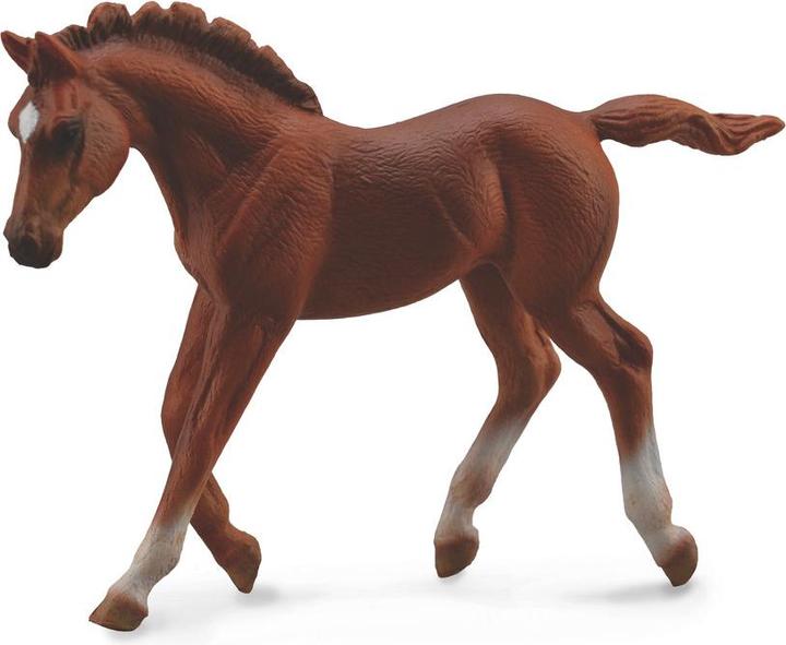 Collecta Puledro purosangue