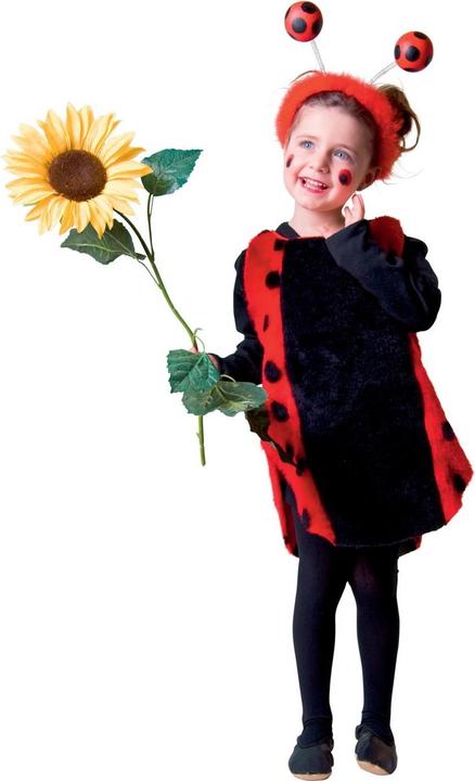 Image du produit Festartikel Müller Coccinelle (104)