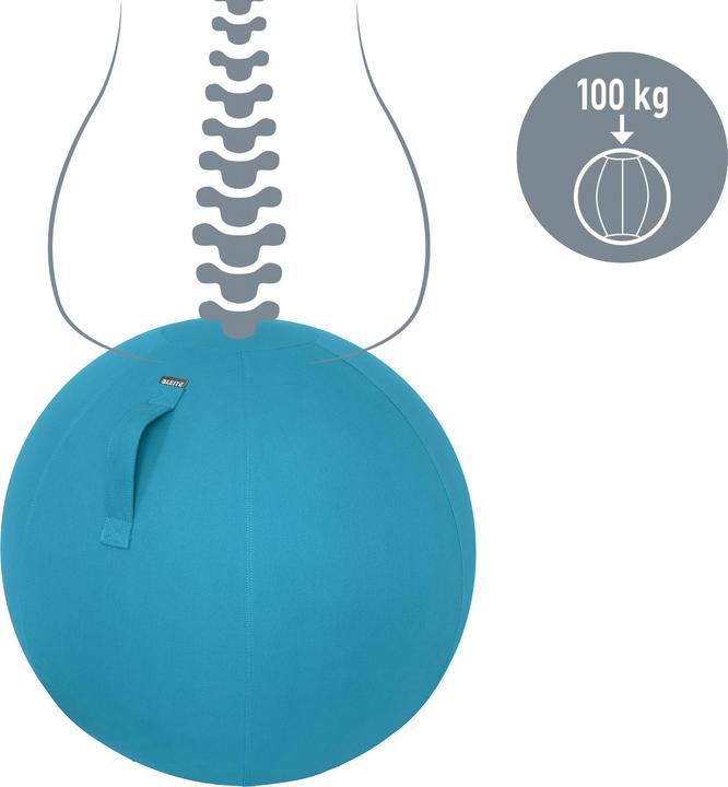 Image du produit Leitz Ballon-siège Ergo Cosy Active (65 cm)