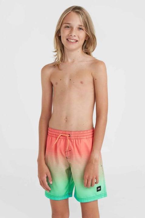 Actual product image O'Neill Jack Cali Gradient 14" Swim Shorts (152)